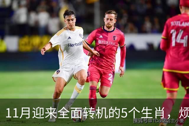 11月迎来全面转机的5个生肖，烦心事慢慢消失，财富爱情接连落地